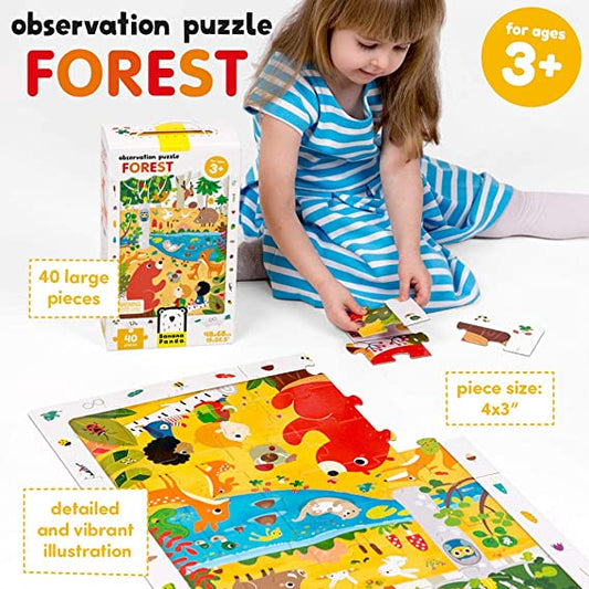 OBSERVATION PUZZLE FOREST